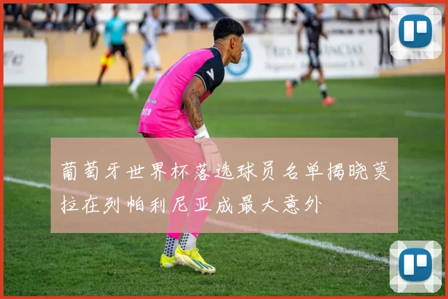 葡萄牙世界杯落选球员名单揭晓莫拉在列帕利尼亚成最大意外